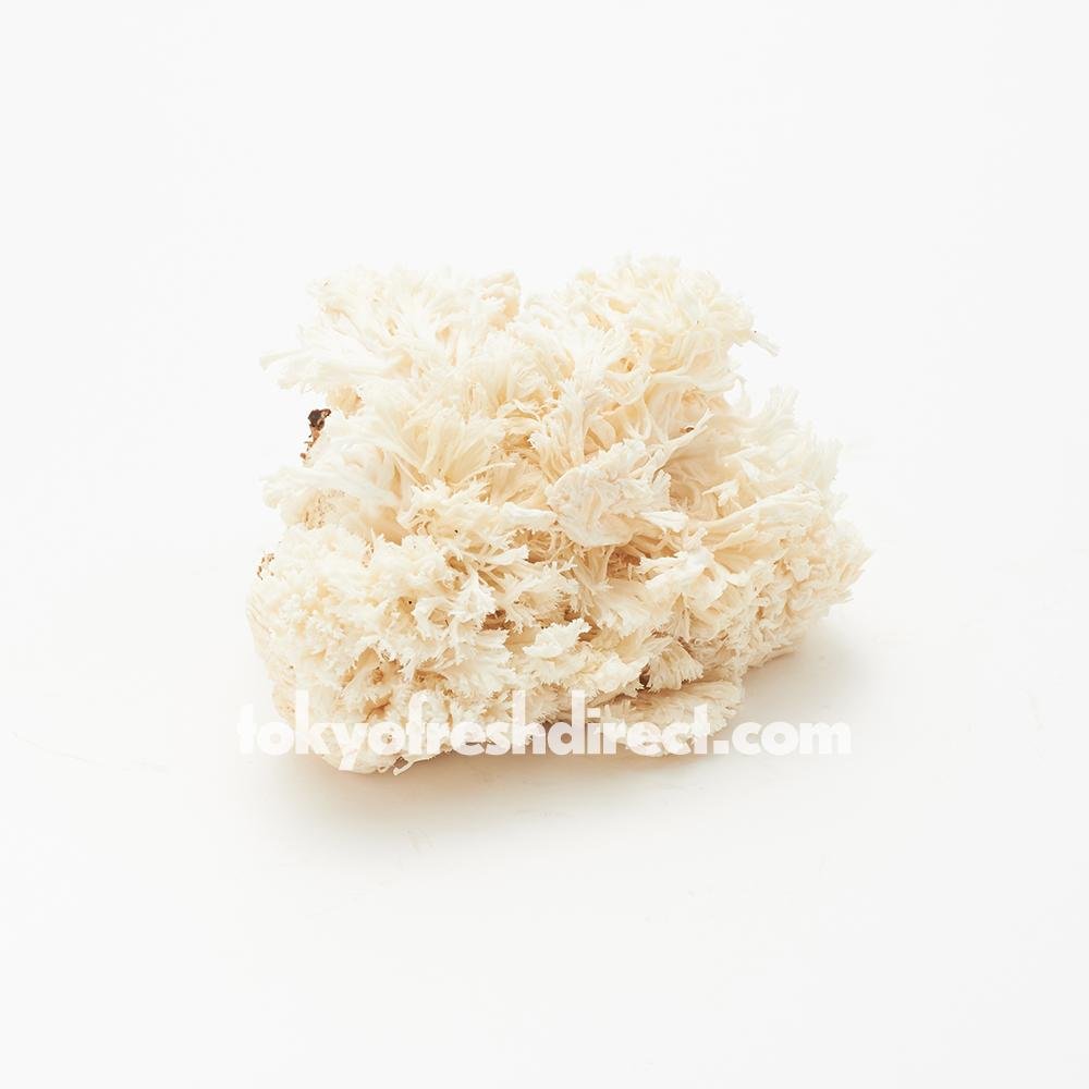 Yamabushi Take (lion's mane mushroom) - Tokyo Fresh Direct