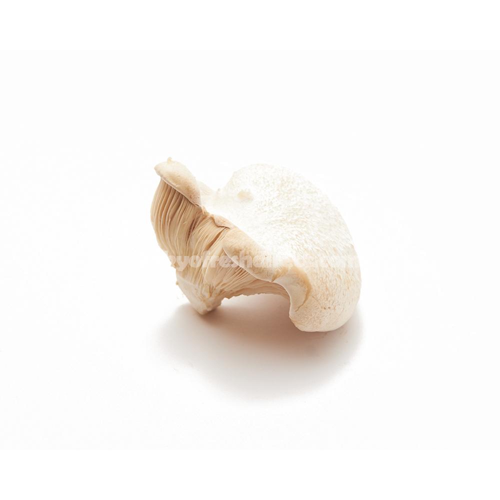 Yukirei Take (yukirei mushroom) - Tokyo Fresh Direct